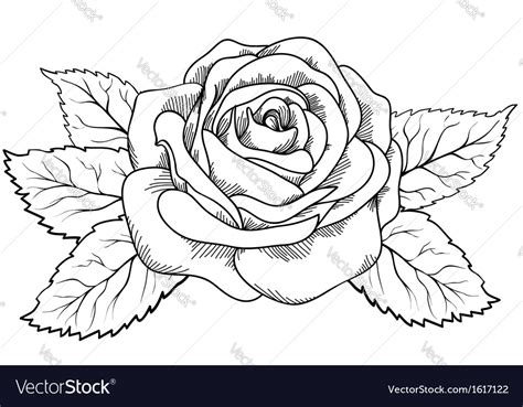 Rose In The Style Of Black And White Engraving Vector Image
