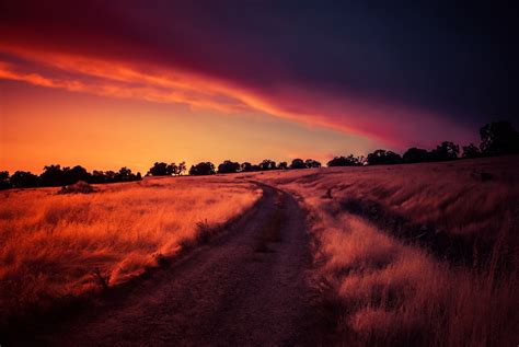 Dirt Road And Grass Field Sunlight Dark Nature Sky Hd Wallpaper