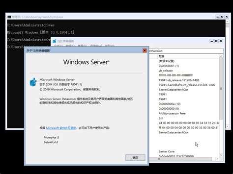 Windows Server 2019100190411vb Release191206 1406 Betaworld 百科