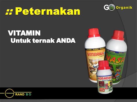 Sapi adalah hewan ternak terpenting sebagai sumber daging susu tenaga kerja dan kebutuhan lainnya. Manfaat Viterna Untuk Sapi Perah