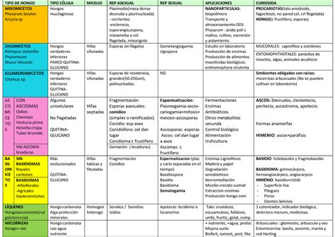 Cuadros Comparativos Entre Hongos Y Bacterias Cuadro Comparativo Images