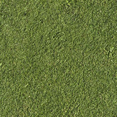 Seamless Grass Good Textures