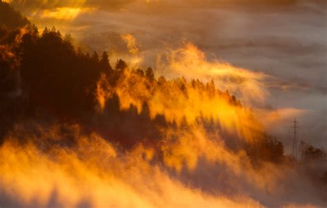 Free Images Tree Cloud Fog Sunrise Sunset Mist Sunlight Dawn