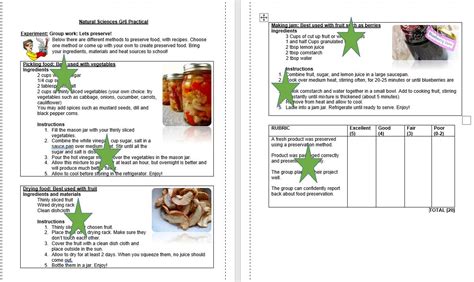 Grade 6 Food Preservation Project Experiment With Rubric 20 Word