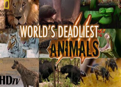 دانلود فیلم مستند Worlds Deadliest Animals خطرناکترین حیوانات جهان