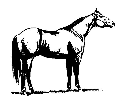 Quarter Horse Clipart Clip Art Library