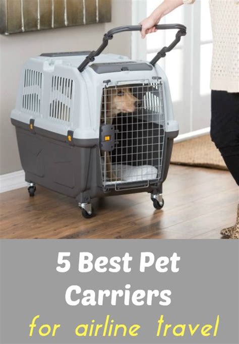 Charges for transporting your pet with american airlines cargo may vary depending on the trip details and size of the animal. 5 Best Pet Carriers And Tips For Safer Airline Cargo ...