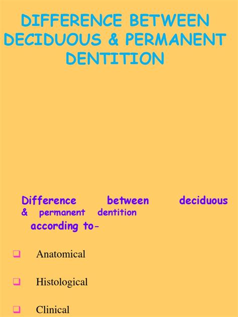 Difference Between Deciduous And Permanent Teeth Teethwalls