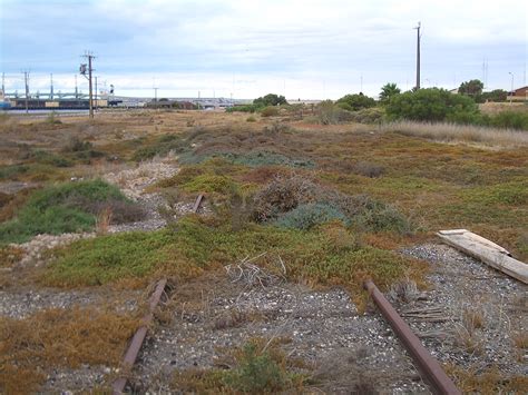 Filewallaroo Overgrown Rail Tracks 0835 Wikimedia Commons
