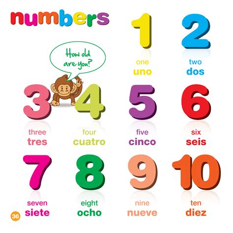 Spanish For Kids First Words Book And Bonus Dvd Bee Smart Toys