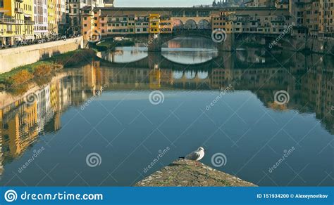 Famous Ponte Vecchio Bridge Behind Seagull In Florence Italy Stock