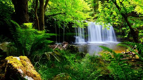 Hd Nature Wallpapers Landscape Green Cute Desktop Waterfall