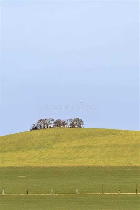 Spring Landscape With Green Field Trees And Blue Sky Stock Image