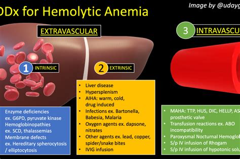 How Do You Workup Hemolytic Anemia Inspira Meded