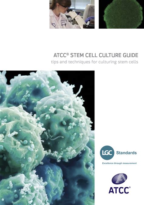 Atcc bacterial culture guidetips and techniques for culturing bacteria and bacteriophages. Online kataloglar | Novagentek A.Ş.