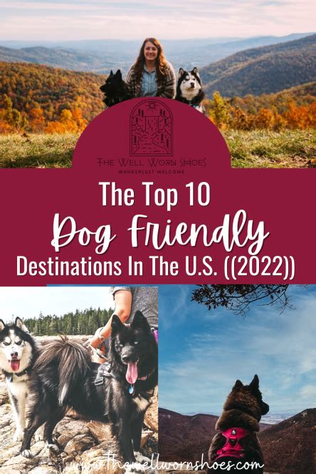 Top 10 Dog Friendly Destinations In The Us 2022 The Well Worn Shoes