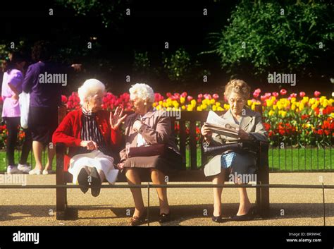 Three Old Ladies Sitting On A Park Bench London Stock Photo 31564748