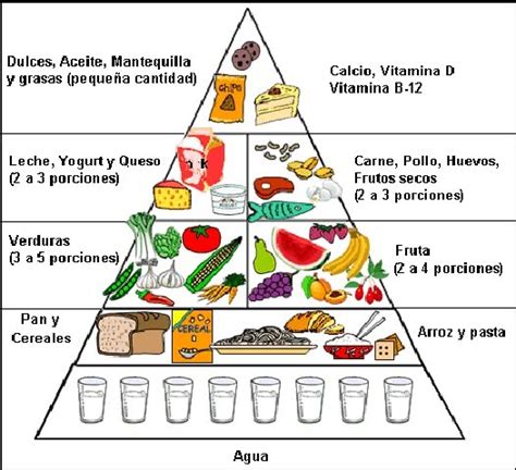 Clasificacion De Los Alimentos Diagram Quizlet