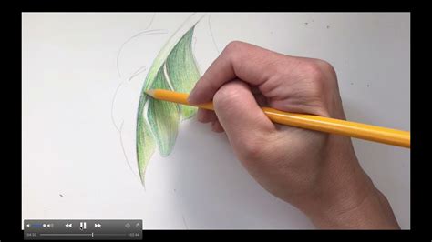 Shading A Leaf With Color Pencil Youtube