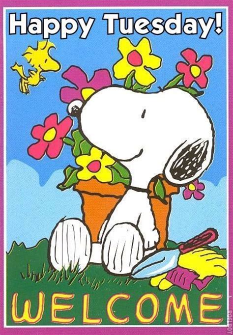 50 Cute Happy Tuesday Cartoon Quotes Snoopy Quotes Snoopy Peanuts