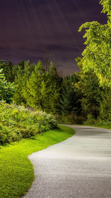 Road Between Green Grass Bushes Plants Trees Lights During Nighttime 4k
