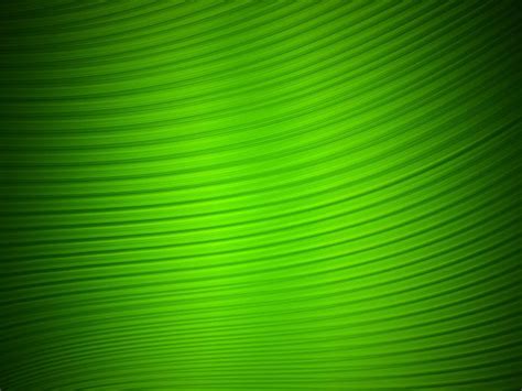 Free Download Best Green Wallpaper Hdcomputer Wallpaper Wallpaper