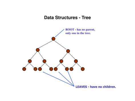 Ppt Data Structures Graph Powerpoint Presentation Free Download