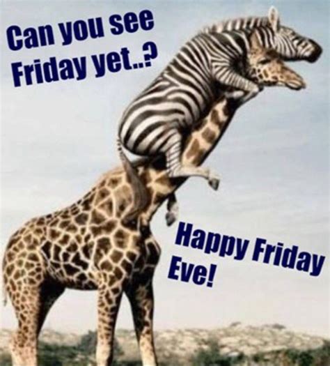 Happy Friday Eve Images Funny