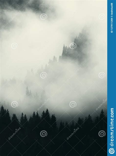Mountain Peak In Fog Stock Photo Image Of Rain Mountain