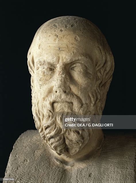 Bust Of Herodotus Greek Historian Sculpture 2nd Century Athens
