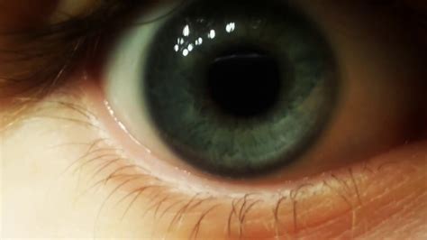 Surprising, and teaching you new facts about life, people, etc.: High Definition View of My Eye - YouTube