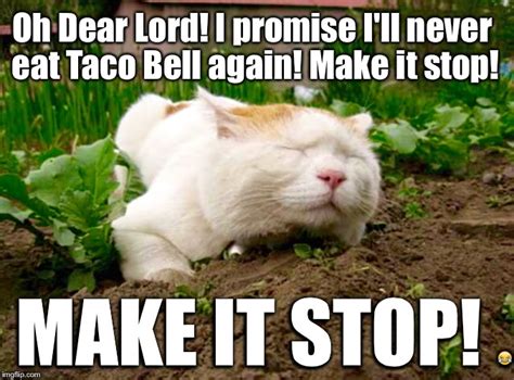 34 Funny Taco Bell Memes You Know All Too Well Foxbuzzz