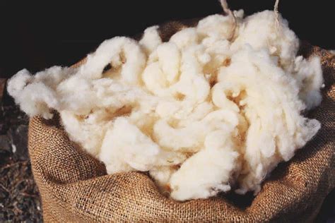 10 Uses For Wool Besides Spinning It