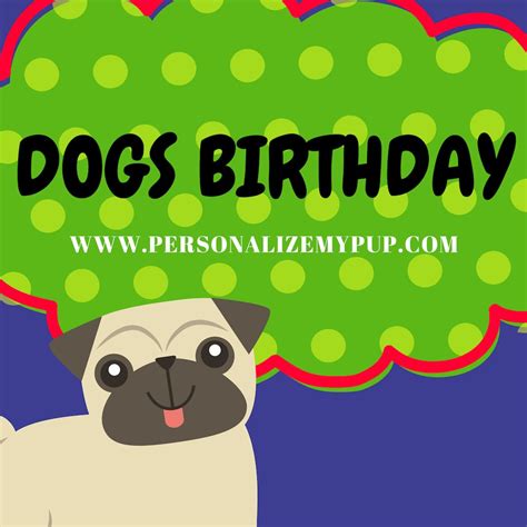 Pin By Personalize My Pup On Dogs Birthday Funny Dog