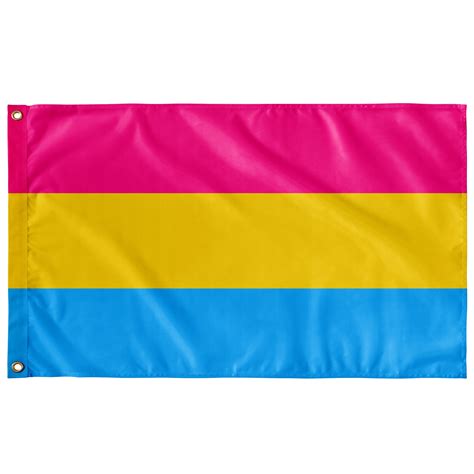 Pansexual Pride Wall Flag Single Reverse 36x60 Etsy