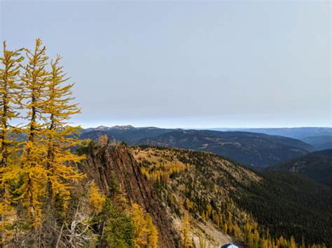 Where To Find Golden Larches In British Columbia Canada