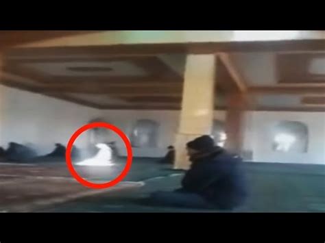 5 Mysterious Creatures Caught On Camera And Spotted In Real Life