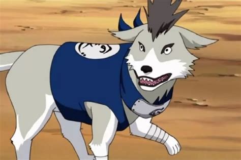 The Crucial Roles Of Kakashi Hatakes Ninken Dogs In Naruto Visadame