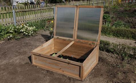 In einer zweijährigen kultur wird sie angebaut. Pin auf Garten