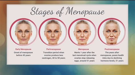 The 4 Stages Of Menopause Katu