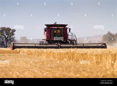 Australian Farming Header Hi Res Stock Photography And Images Alamy