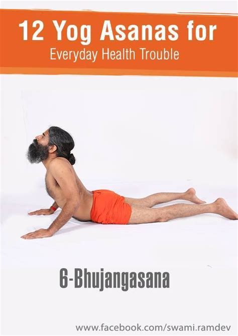 12 Yogasanas That You Should Exercise Daily With Images Yoga