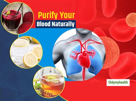 Detoxify Your Blood Naturally With These Home Remedies Onlymyhealth