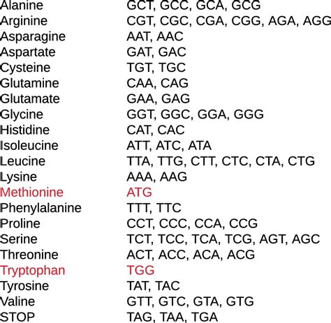 List Of Amino Acids With Their Possible Codon Options In Red Are The Download Scientific