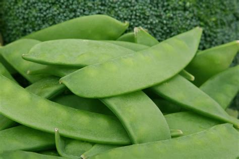 Entdecke rezepte, einrichtungsideen, stilinterpretationen und andere ideen zum ausprobieren. Plantas Que Curan Y Sanan La Diabetes : 35 Plantas ...