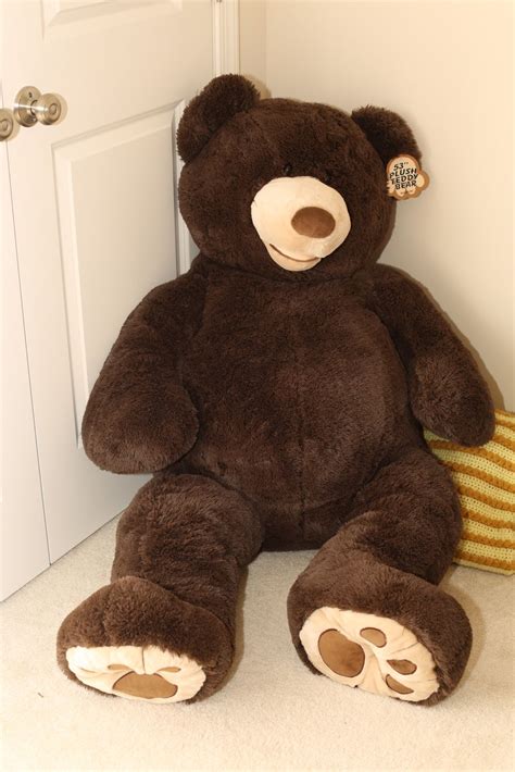 I Want One Of These Giant Costco Bears So Cute Huge Teddy Bears