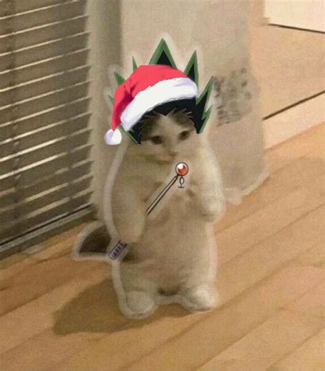 Standing Cat Gon Christmas Meme Christmas Cats Merry Christmas Card