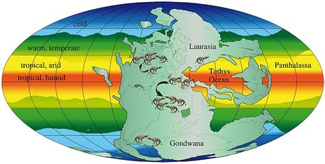 Pangaea Interesting Facts About The Ancient Supercontinent Pangaea