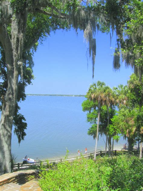Hire the best pest control services in naples, fl on homeadvisor. Philippe Park, Safety Harbor, Florida. | Favorite Places ...