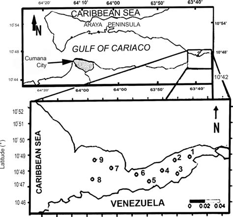 Surveyed Area The Gulf Of Cariaco Venezuelan Caribbean Coast